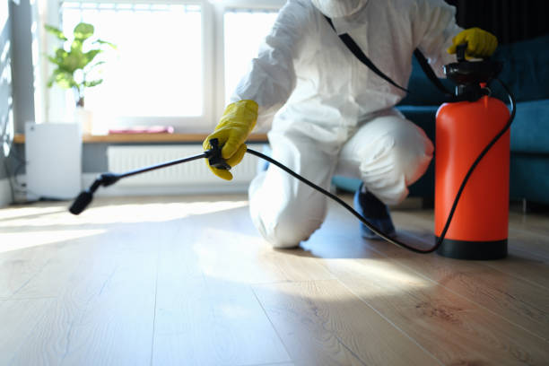 Reliable Sewage Cleanup contractor in High Bridge, NJ by Trauma Clean Pros